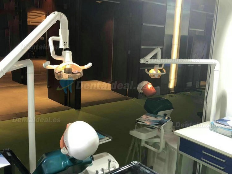 Jingle JG-A1 Phantom Head For Dental Students Dental Simulation Unit